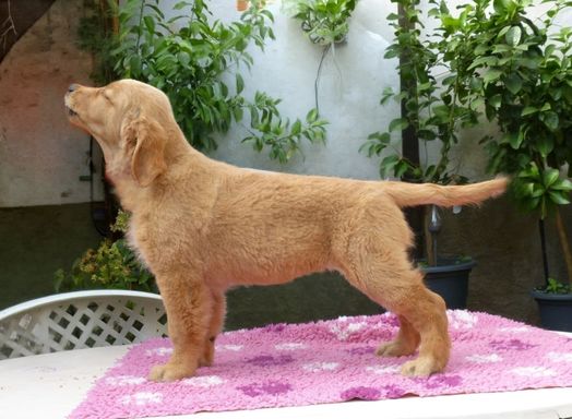 Tochter Candy - 30.08.2026